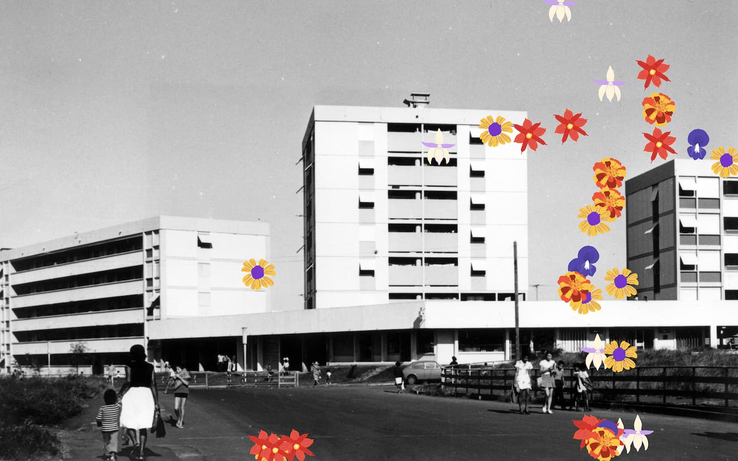 Reunion Metis Art Festival Screenshot